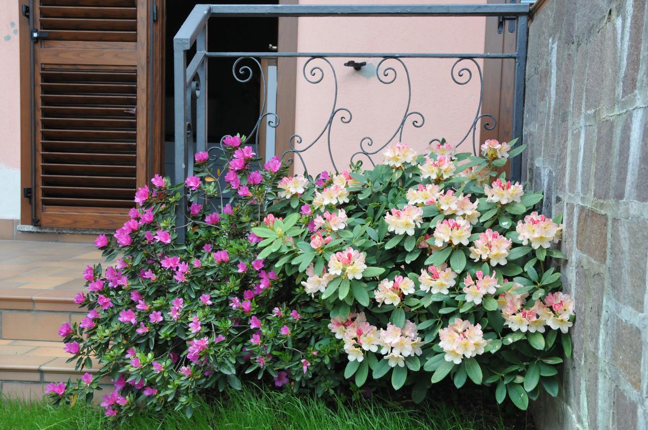 3per3 Bed & Breakfast Busto Arsizio Eksteriør bilde